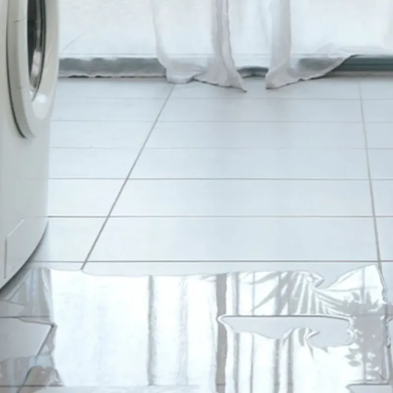 Appliance Leak Cleanup in Claremont, NH