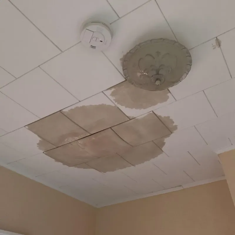 Ceiling Water Damage Repair in Claremont, NH