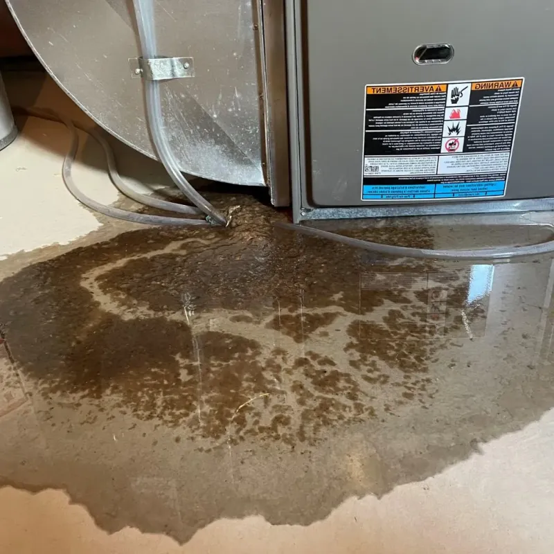 Pipe Burst and Leak Restoration in Claremont, NH
