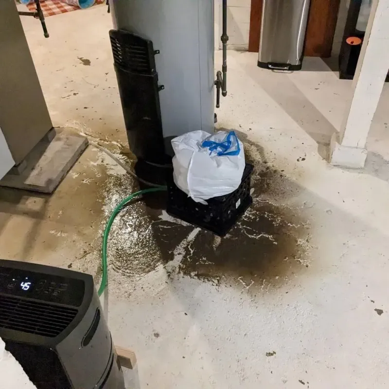Sewage Backup Cleanup Service in Claremont, NH
